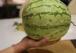 拿走吃瓜的图片,揭秘夏日消暑新潮流