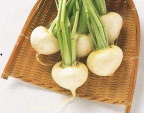 冬吃萝卜冬吃瓜,萝卜与瓜果的滋补之道