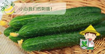 吃瓜套路深,深度解析网络热议背后的真相