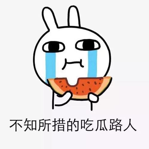 吃瓜套路深,深度解析网络热议背后的真相