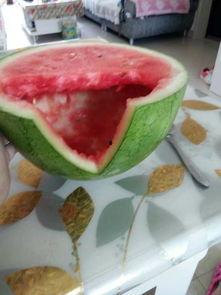 瓜哥哪里吃瓜,揭秘哪里吃瓜最地道