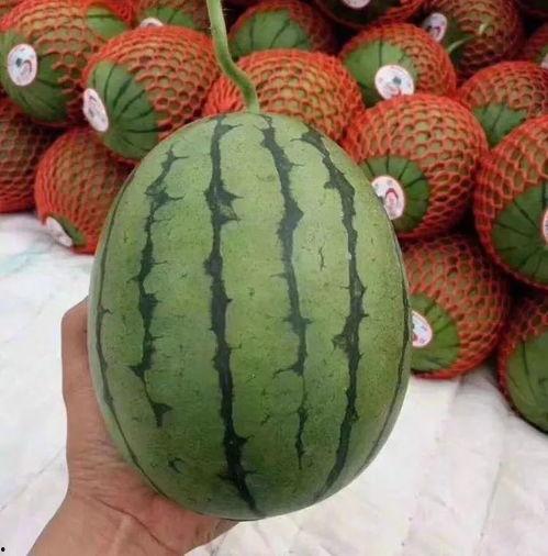 泡泡聊天吃瓜,吃瓜群众揭秘娱乐圈幕后故事