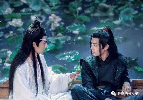 陈情令吃瓜版,幕后风云,揭秘吃瓜群众的狂欢盛宴