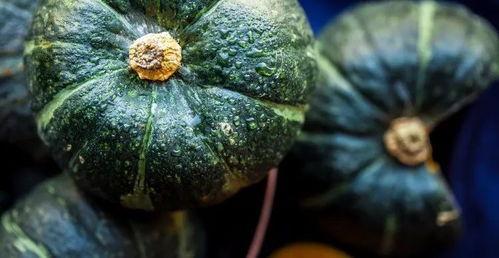 缅北真实吃瓜事件,揭秘背后惊人真相