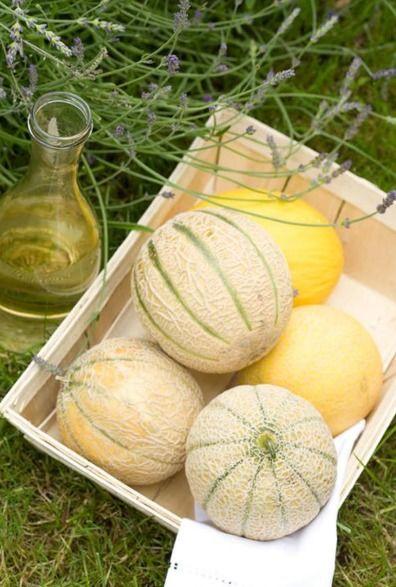 二壮吃瓜,揭秘娱乐圈幕后故事