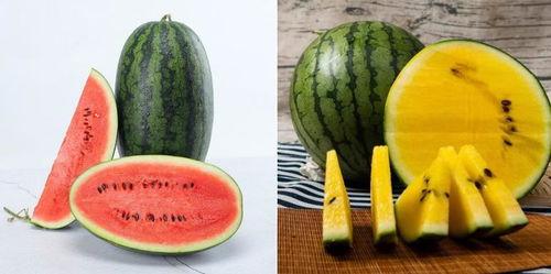 二壮吃瓜,揭秘娱乐圈幕后故事