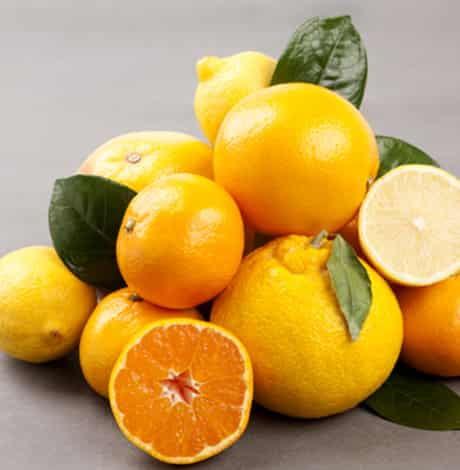 移植可以吃瓜吗,吃瓜的适宜与否