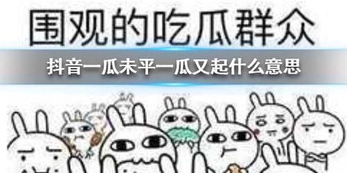 抖音短剧吃瓜,娱乐圈背后的秘密大曝光