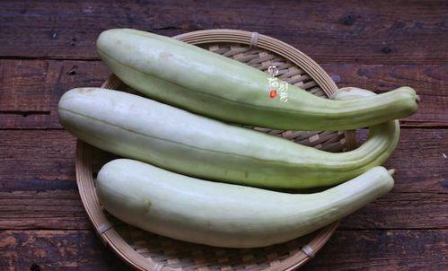 做梦吃块瓜,瓜果飘香，味蕾之旅