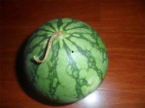 小伙吃瓜绝技,揭秘小伙独门吃瓜绝技