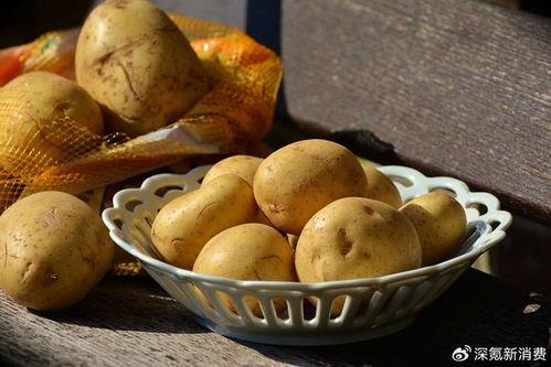 在洋芋国吃瓜,一场别开生面的吃瓜盛宴