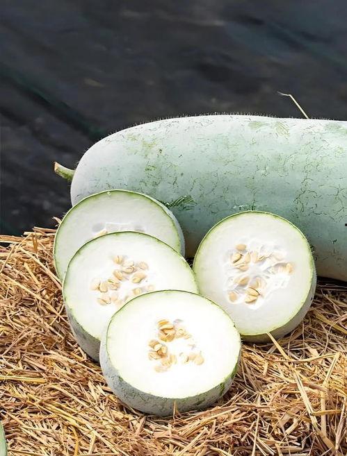 冬季有什么瓜吃