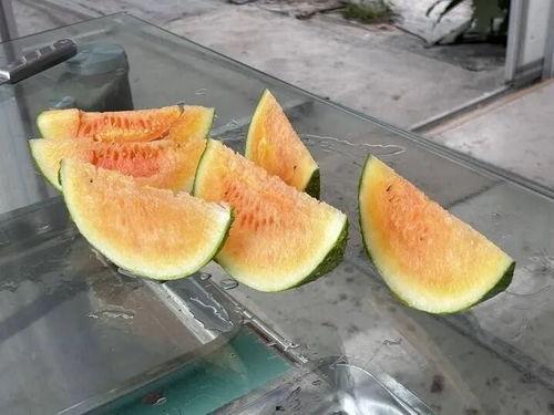 实现吃瓜自由方法,揭秘轻松享受美食的秘诀