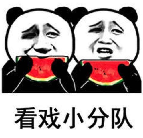 群聊吃瓜表情包头像,趣味横生的社交新宠