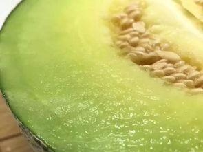 佛山斗殴 吃瓜,吃瓜群众围观现场,真相究竟如何?